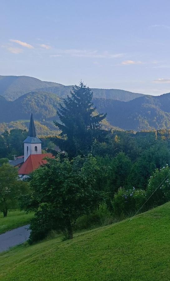 Apartmaji Borstner Vransko Exterior foto